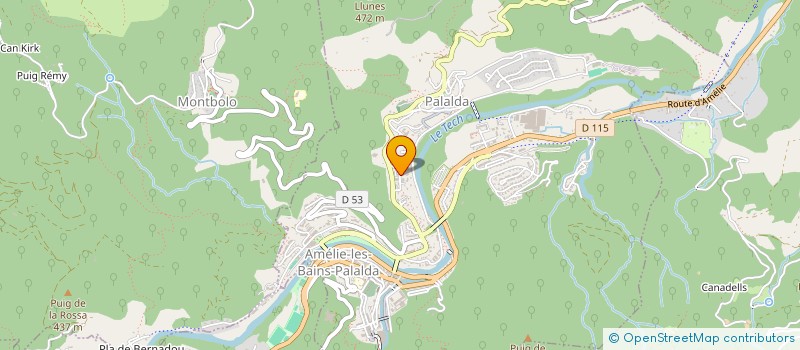 localisation de l'entreprise MADAME DAYANE MARTINS PINA SILVA  AMELIE-LES-BAINS-PALALDA