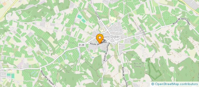 localisation de l'entreprise MADAME DEBBIE WRIGHT  SAINT-DIDIER