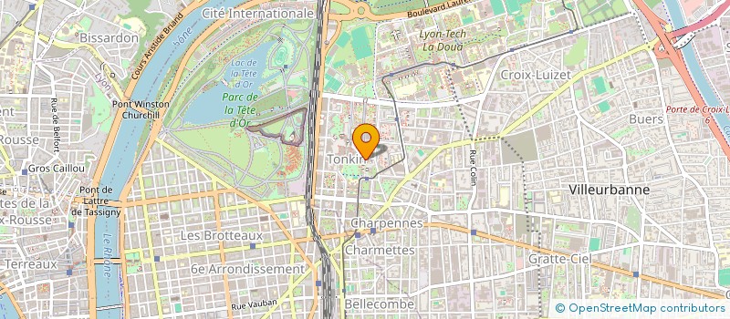 localisation de l'entreprise MADAME DEBORAH MANDELSAFT  VILLEURBANNE