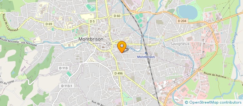 localisation de l'entreprise MADAME DEFNE ERDUR à MONTBRISON