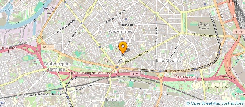 localisation de l'entreprise MADAME DEHBIA LADOUI  LILLE