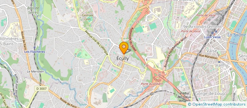 localisation de l'entreprise MADAME DELPHINE ARNAUD  TASSIN-LA-DEMI-LUNE