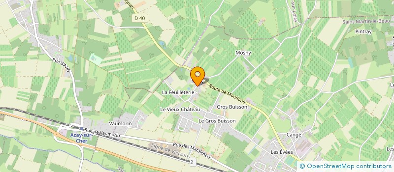 localisation de l'entreprise MADAME DELPHINE BARRAULT  SAINT-MARTIN-LE-BEAU