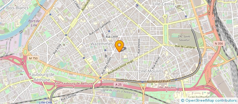 localisation de l'entreprise MADAME DELPHINE BEAUSSART à LILLE