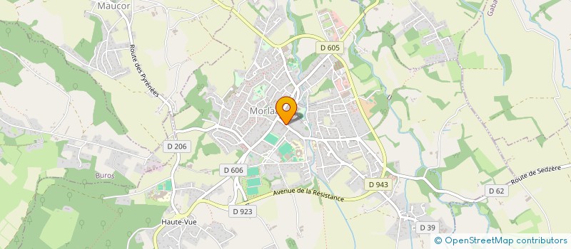 localisation de l'entreprise MADAME DELPHINE BERGER  MORLAAS