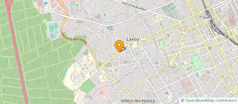 localisation de l'entreprise MADAME DELPHINE BONTEMS  LAXOU