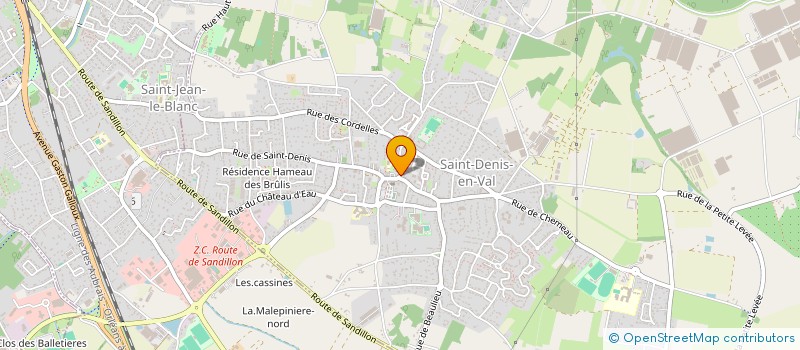 localisation de l'entreprise MADAME DELPHINE BOURDEAU à SAINT-DENIS-EN-VAL