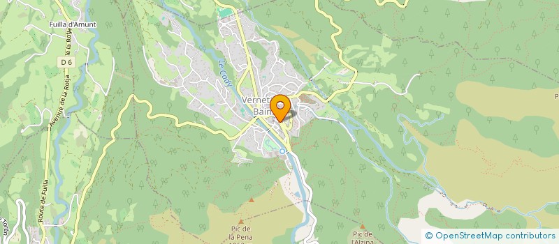 localisation de l'entreprise MADAME DELPHINE BOUREAU à VERNET-LES-BAINS