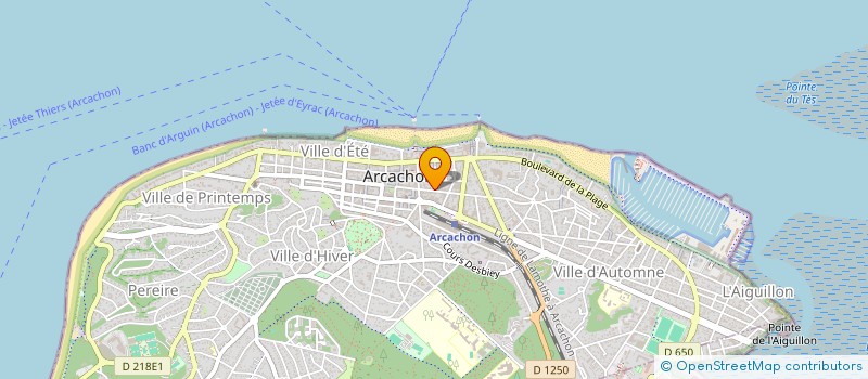 localisation de l'entreprise MADAME DELPHINE BOURRELIER  ARCACHON