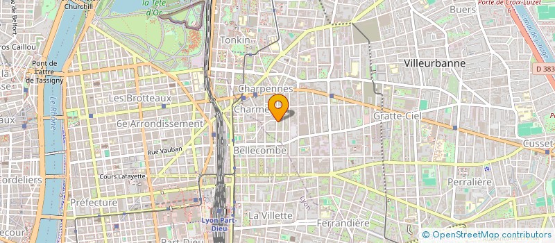 localisation de l'entreprise MADAME DELPHINE BURGUET  VILLEURBANNE