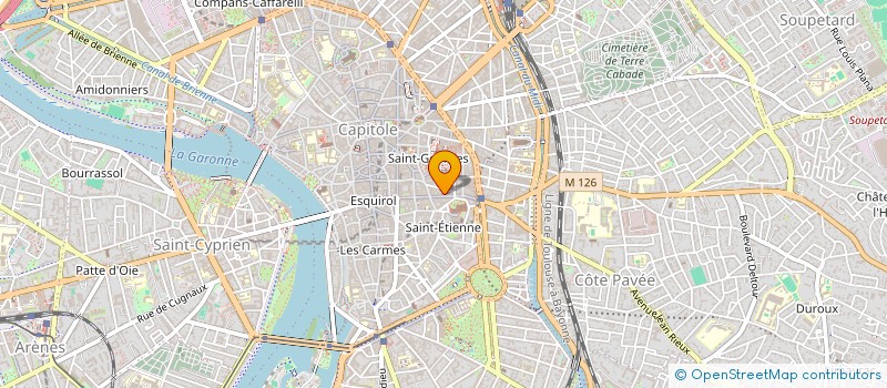 localisation de l'entreprise MADAME DELPHINE CHANUT  TOULOUSE