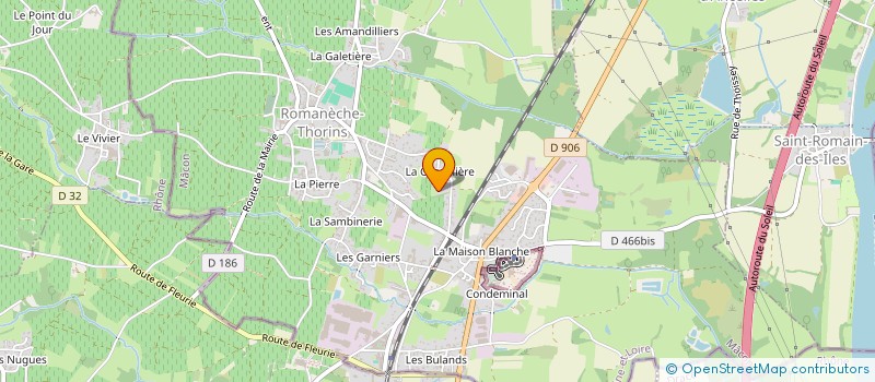 localisation de l'entreprise MADAME DELPHINE CHAUVIN  ROMANECHE-THORINS