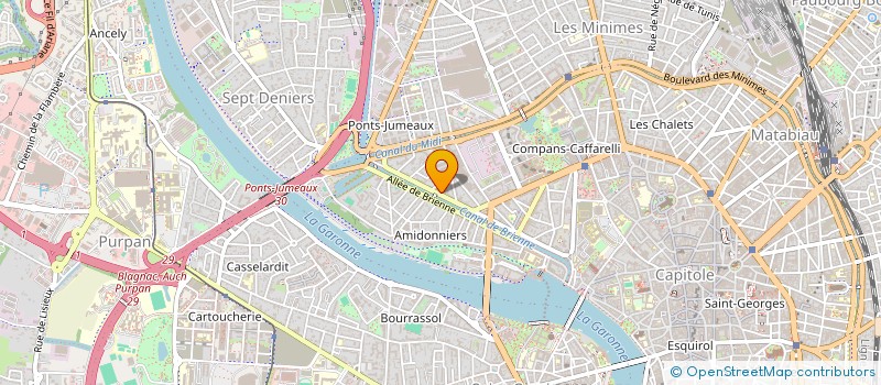 localisation de l'entreprise MADAME DELPHINE CHEVAUGEON à TOULOUSE