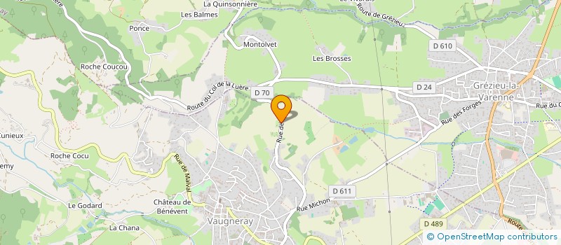 localisation de l'entreprise MADAME DELPHINE CLEMENT  VAUGNERAY