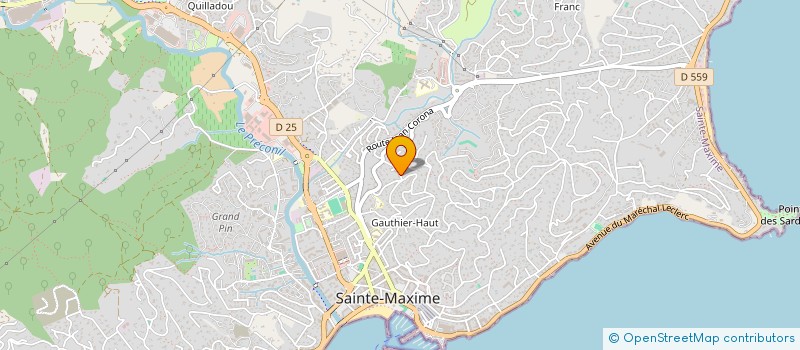 localisation de l'entreprise MADAME DELPHINE DEBONTE à SAINTE-MAXIME