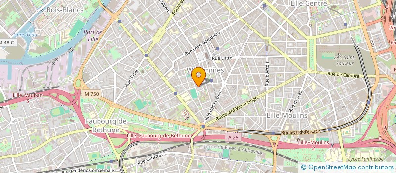 localisation de l'entreprise MADAME DELPHINE DECARPENTRIE à LILLE