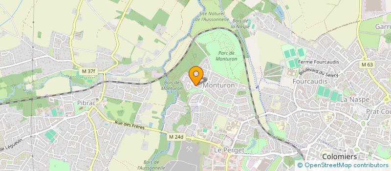 localisation de l'entreprise MADAME DELPHINE DEDIEU à COLOMIERS