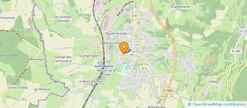 localisation de l'entreprise MADAME DELPHINE DENARIE  SAINT-AMOUR