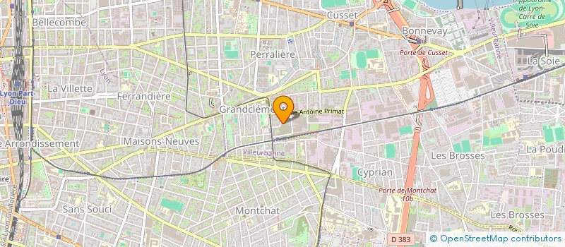 localisation de l'entreprise MADAME DELPHINE DULONG  VILLEURBANNE