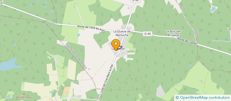 localisation de l'entreprise MADAME DELPHINE DUPUIS  SAINT-ETIENNE-DE-CHIGNY