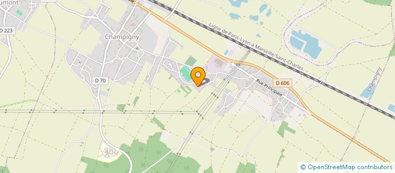 localisation de l'entreprise MADAME DELPHINE DURAN CASTELEIRO  CHAMPIGNY