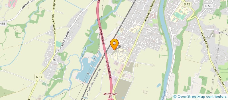 localisation de l'entreprise MADAME DELPHINE DUROUCHOUX  MURET
