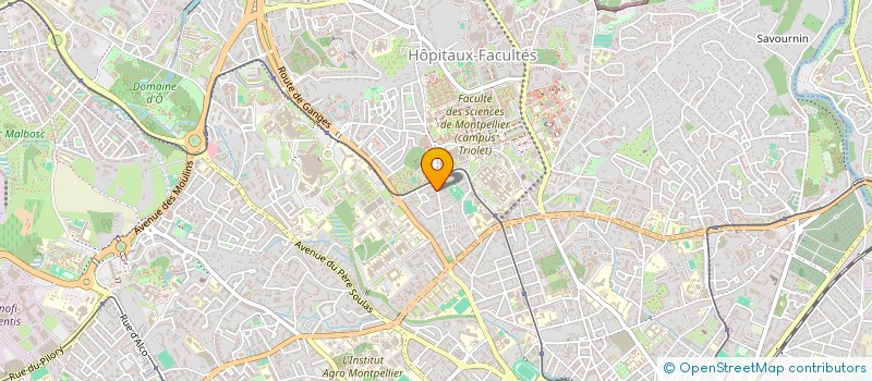 localisation de l'entreprise MADAME DELPHINE ESPITALIER à MONTPELLIER