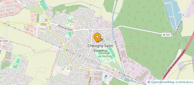 localisation de l'entreprise MADAME DELPHINE FERMENT à CHEVIGNY-SAINT-SAUVEUR