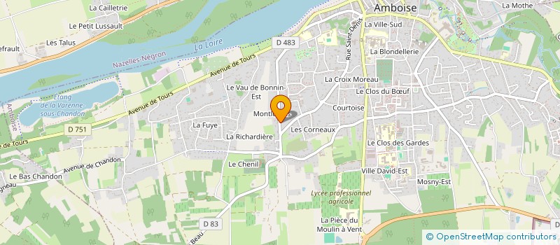 localisation de l'entreprise MADAME DELPHINE GALAN  AMBOISE