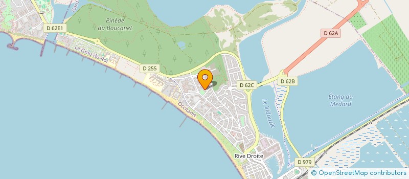 localisation de l'entreprise MADAME DELPHINE GOUDAL  LE GRAU-DU-ROI