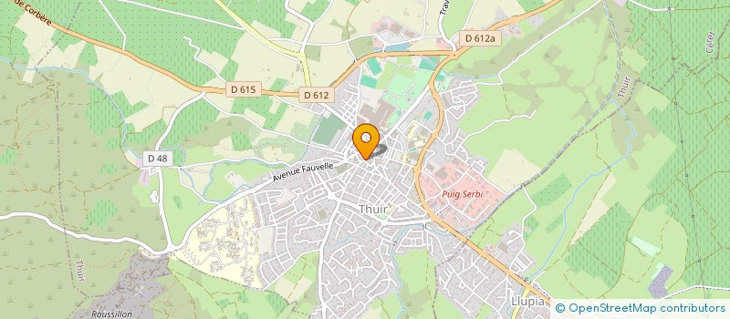 localisation de l'entreprise MADAME DELPHINE GOUPIL à THUIR