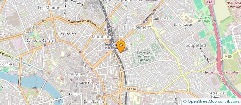 localisation de l'entreprise MADAME DELPHINE GUICHE  TOULOUSE