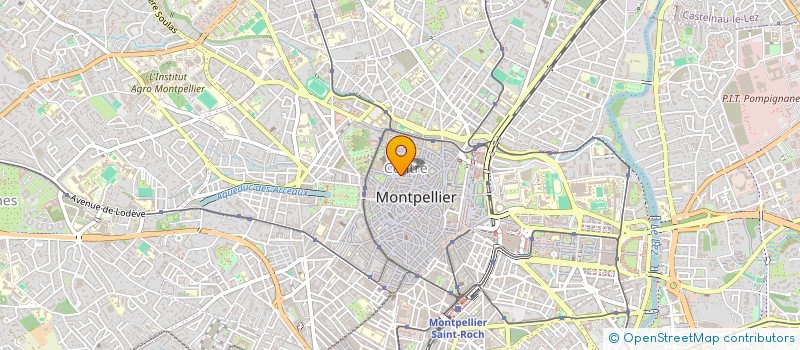 localisation de l'entreprise MADAME DELPHINE LAFLECHE à MONTPELLIER