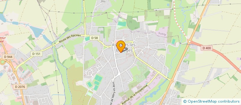 localisation de l'entreprise MADAME DELPHINE LE VAILLANT à BOURGES