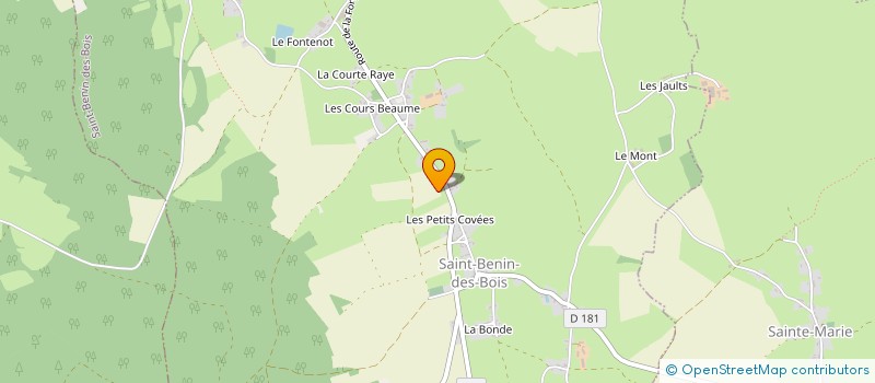 localisation de l'entreprise MADAME DELPHINE LEJAULT à ST BENIN DES BOIS