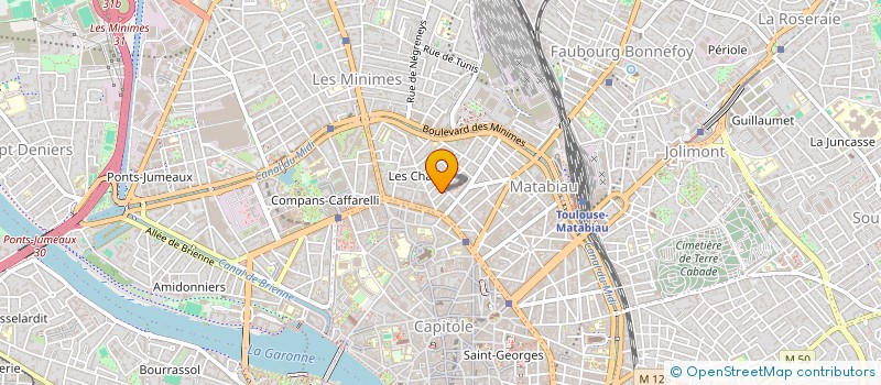 localisation de l'entreprise MADAME DELPHINE MARIE VOISIN à TOULOUSE