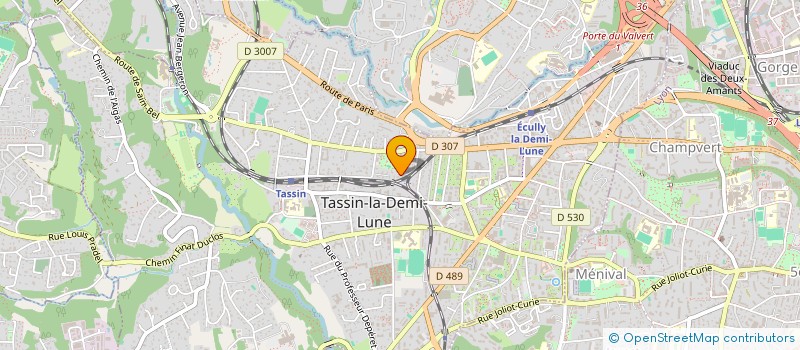 localisation de l'entreprise MADAME DELPHINE MASONI  TASSIN-LA-DEMI-LUNE