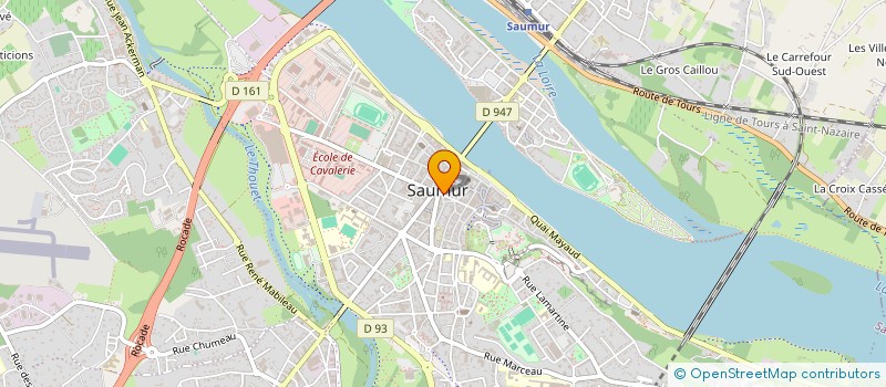 localisation de l'entreprise MADAME DELPHINE MICHOT  SAUMUR