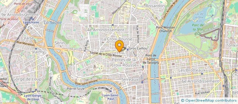localisation de l'entreprise MADAME DELPHINE MINO-VERCELLIS à LYON