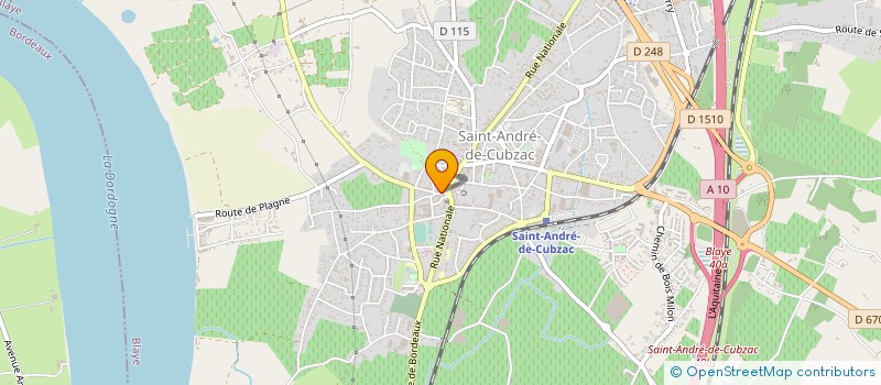 localisation de l'entreprise MADAME DELPHINE NGUYEN  SAINT-ANDRE-DE-CUBZAC