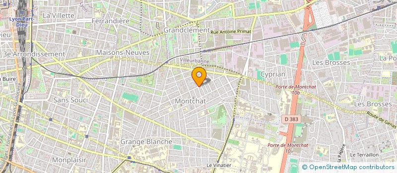 localisation de l'entreprise MADAME DELPHINE PASSOT à LYON