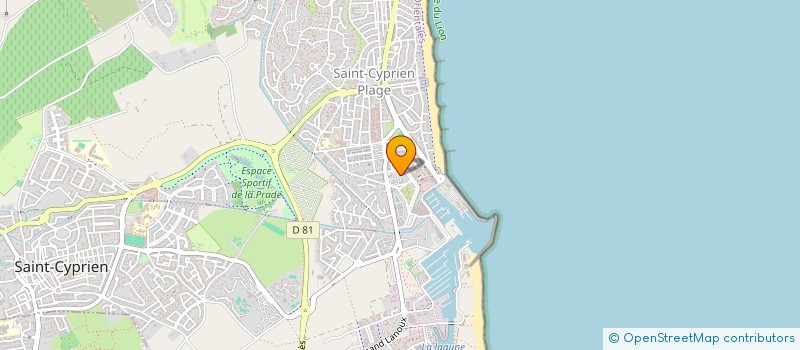 localisation de l'entreprise MADAME DELPHINE PINCON  ST CYPRIEN