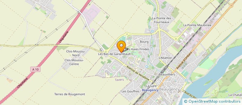 localisation de l'entreprise MADAME DELPHINE RAMAUGE à BEAUGENCY