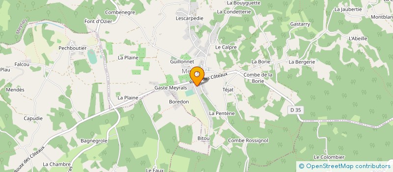 localisation de l'entreprise MADAME DELPHINE REMION  MEYRALS