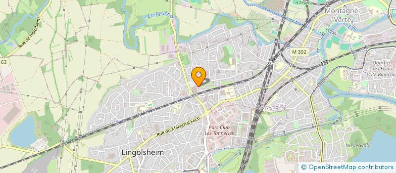 localisation de l'entreprise MADAME DELPHINE SCHLIENGER  LINGOLSHEIM