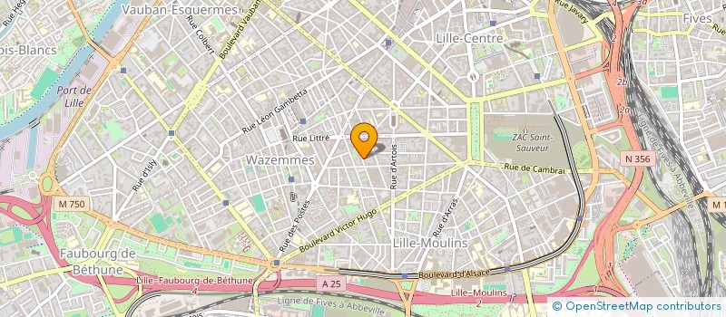 localisation de l'entreprise MADAME DELPHINE SUAREZ à LILLE