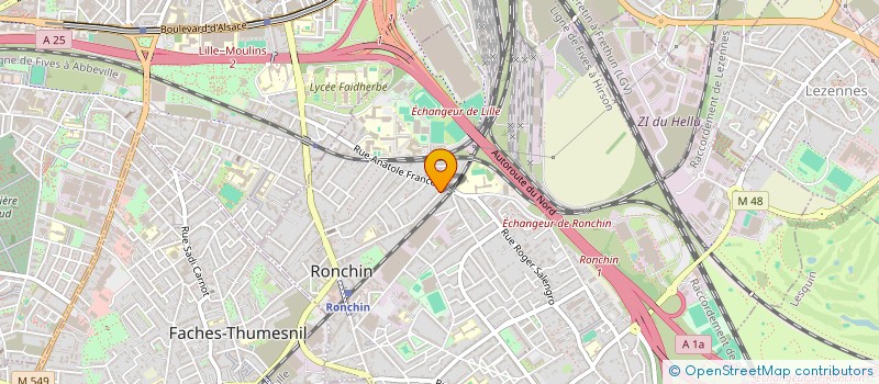 localisation de l'entreprise MADAME DELPHINE VAUCHEL  RONCHIN