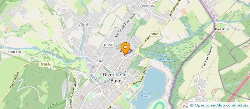localisation de l'entreprise MADAME DELPHINE VENTALON à DIVONNE-LES-BAINS