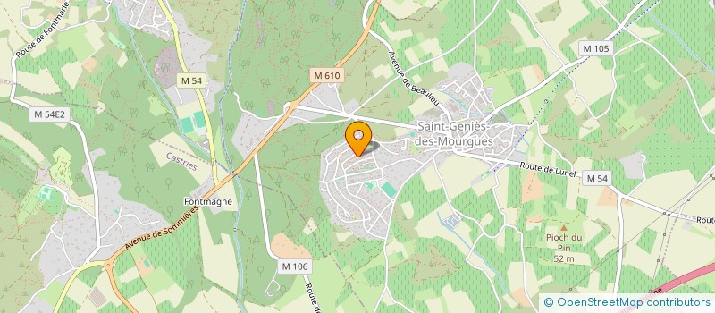 localisation de l'entreprise MADAME DELPHINE VERDIER  SAINT-GENIES-DES-MOURGUES