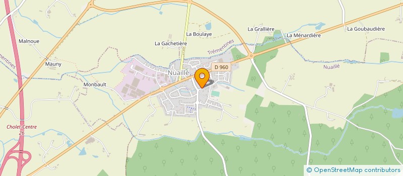 localisation de l'entreprise MADAME DELPHINE ZUNE à NUAILLE